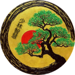 少林智慧 Shàolín zhìhuì (Shaolin Wisdom)