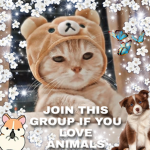 <3 *JOIN GROUP GROUP IF YOU LOVE ANIMALS* <3