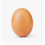 The better eggs