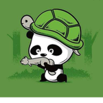 Turtle and panda squad