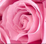PinkLemonadeee