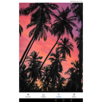Cool anymals