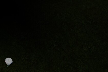Deja vu Simulator: new