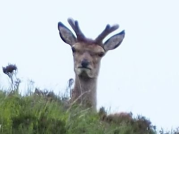 Testing/building place