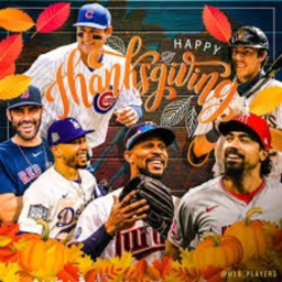 Thanksgiving Baseball Stadium