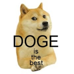 DOGE IS DOGE WOOF WOOF WOW