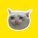 Catzinhoblox