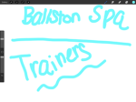 Ballston Spa- TRAINERS