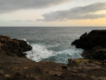 Free Surf Reborn