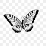 Random….?