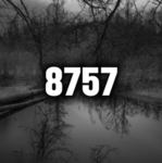 8757