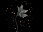 Belladonna Archive