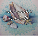 savannah’s seashells