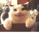 나랑 재미있게 놀 사람 들어와!!