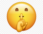 shh group mega cool