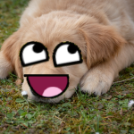 dogbot's epic group