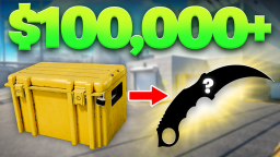 Case Paradise 📦