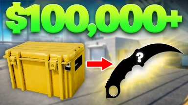 Case Paradise