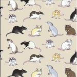 Rats R our friends