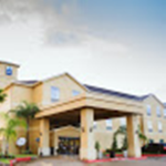 Cooldogs hotel