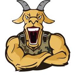 Goats Combat
