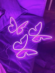The Purple Murples