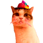 Capitan Gatoo
