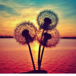 Itzz_Samanta