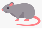 RATS_Official