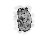 Petrified Chomik