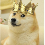 the doge empire of doge's