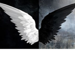 The Dark Angels Mafia