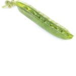 Grean_bean Army