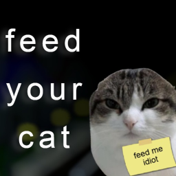 Feed Your Cat at an Unreasonable Hour