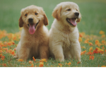 Have fun with friends and relax.