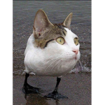 Dêpreśśiøn