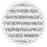 Lorem Ipsum