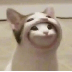 Chloe UwU YAY POOP