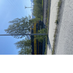 The Friends of Alaska Railroad