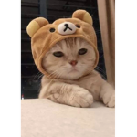 Alexesgang