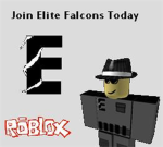 Elite Falcons