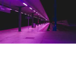 1SF
