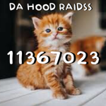 Da Hood Raidss
