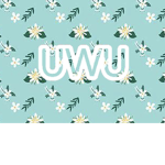 uwu clothes