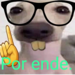 Taco_taquito