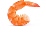 shrimpola group