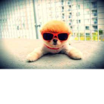 Hiiii..pals