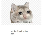 Nothing in the box community