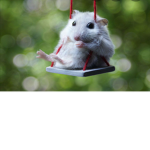 Hamster Productions 1