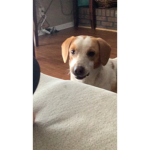 Max has a stinky mouth